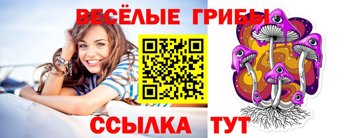 Галлюциногенные грибы MAGIC MUSHROOMS Красноармейск