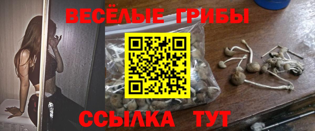 Красноармейск  Псилоцибиновые грибы мицелий  Галлюциногенные грибы мухоморы  Вход с VPN 